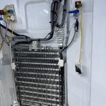 460921058_10162013951277673_1600080356962792378_n